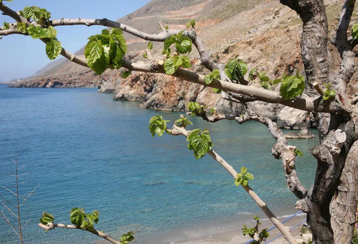 On The Beach Apartments Khóra Sfakíon المظهر الخارجي الصورة
