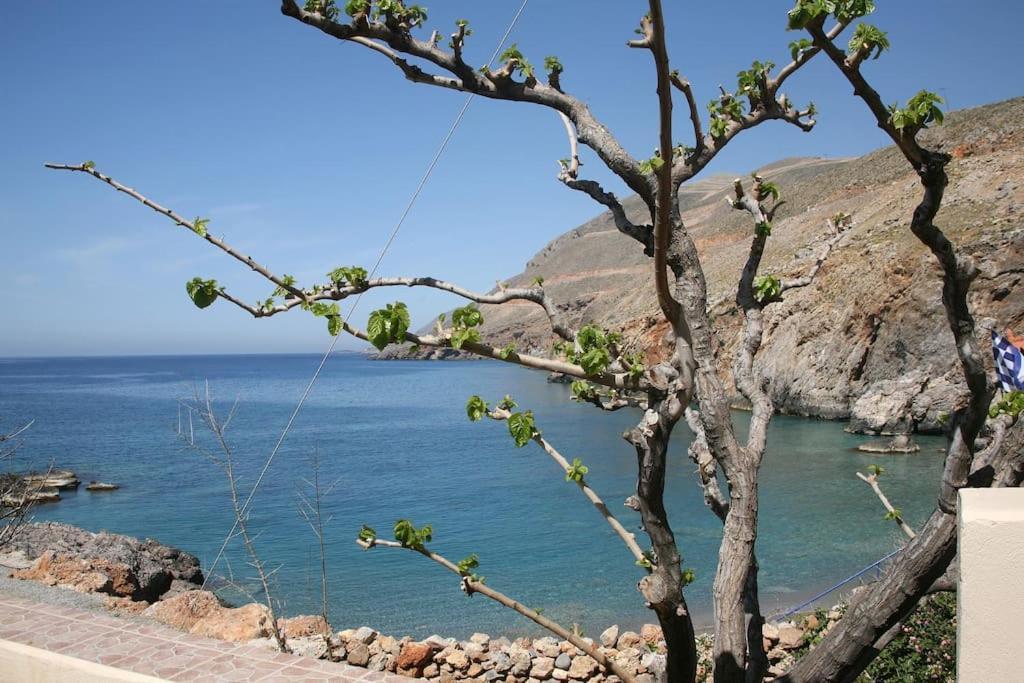 On The Beach Apartments Khóra Sfakíon المظهر الخارجي الصورة